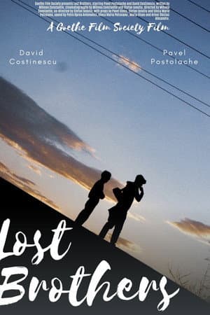 Lost Brothers