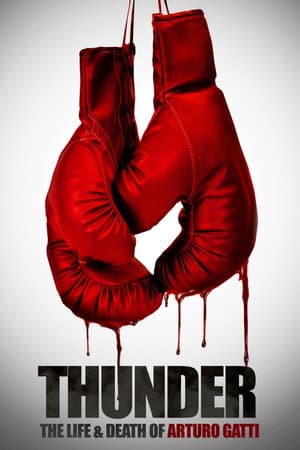 Thunder: The Life and Death of Arturo Gatti