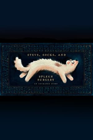 Steve, Socks, and Spleen Surgery