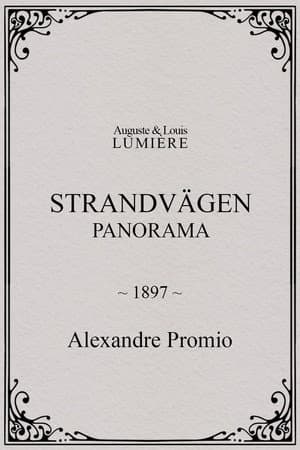 Strandvägen : panorama