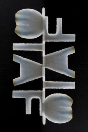 Signal Film
