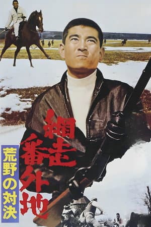 The Bullet and the Horse