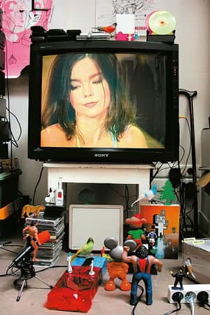 Björk: MTV Unplugged