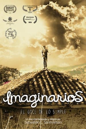 2013: Imaginarios, el goce de lo simple
