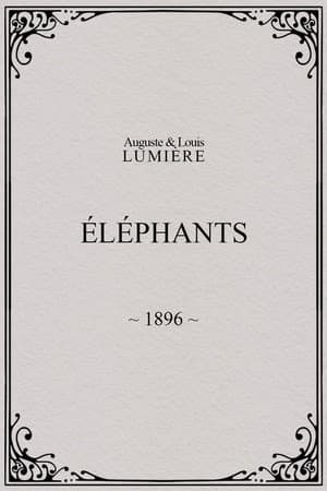Elephants