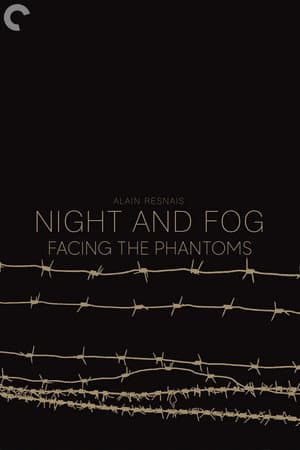 Facing the Phantoms