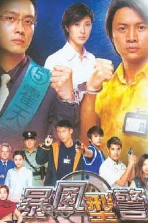暴風型警