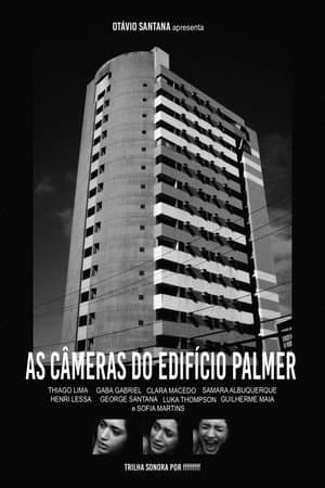 The Cameras at Palmer Building