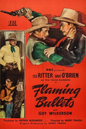 Flaming Bullets