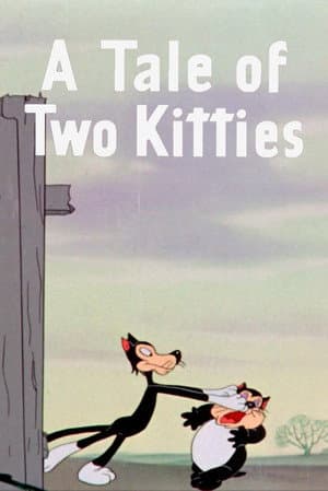 A Tale of Two Kitties