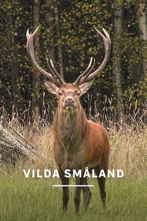 Småland - Sweden's Wild South
