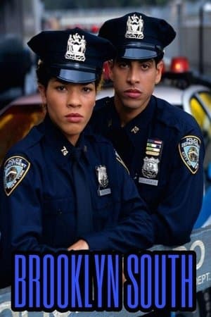 Brooklyn South