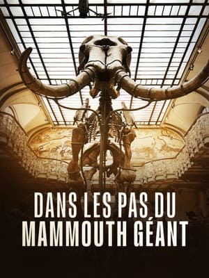 Dans les pas du mammouth géant