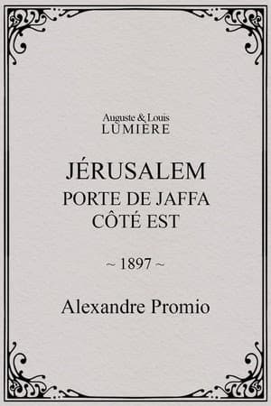Jérusalem : porte de Jaffa, côté Est
