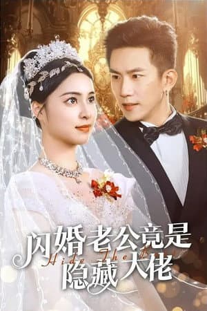 闪婚老公竟是隐藏大佬