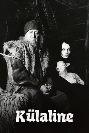 The Visitor