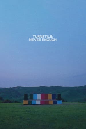 Turnstile: Never Enough