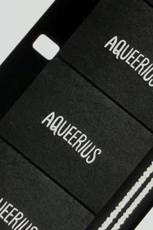 Aqueerius