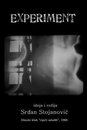 The Experiment