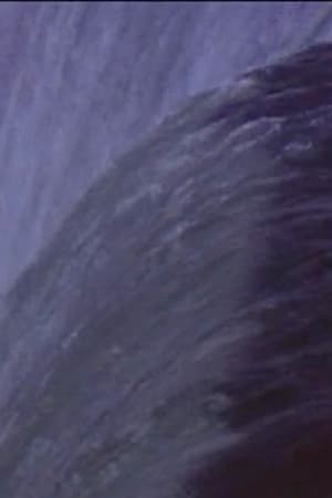Five Year Diary, Reel 31: Niagara Falls (August 19–28, 1983)