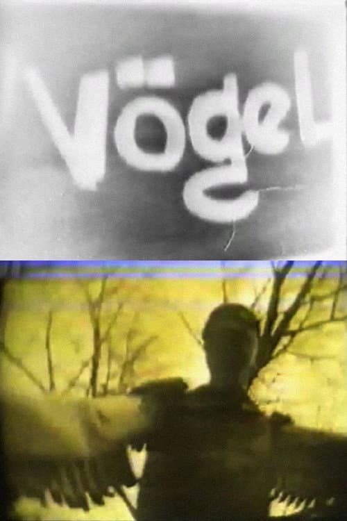 Vögel