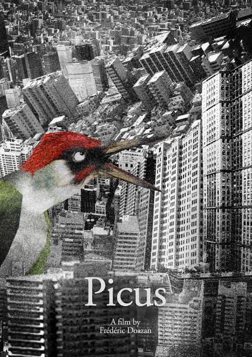 Picus