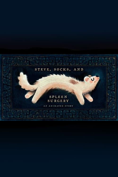 Steve, Socks, and Spleen Surgery