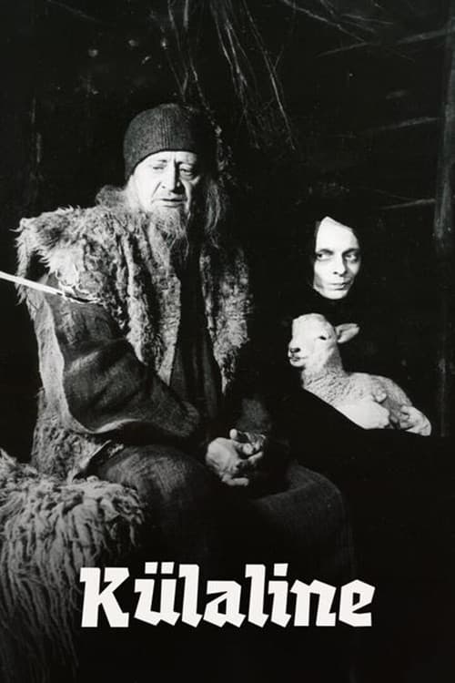 The Visitor