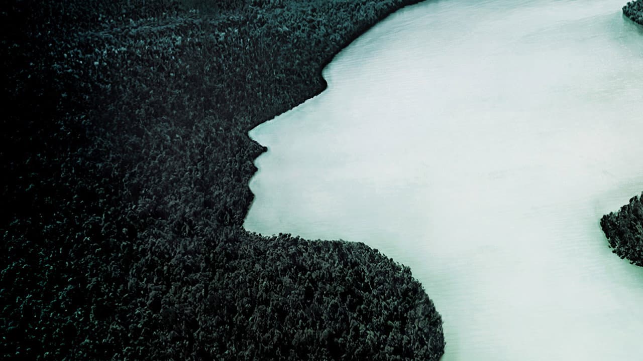 The Vanishing Women
