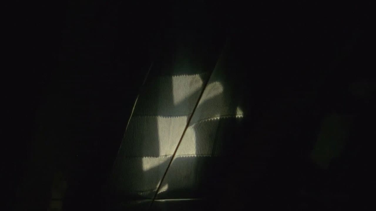 Signal 8