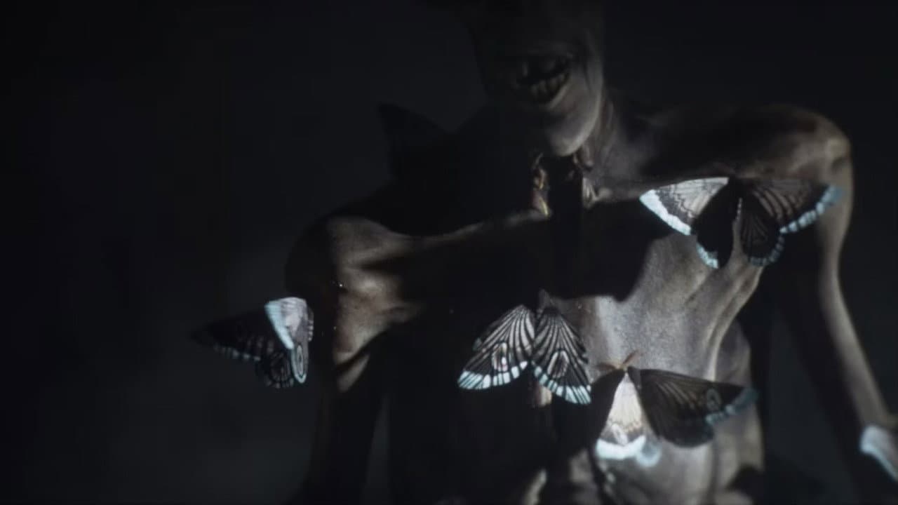 Moths