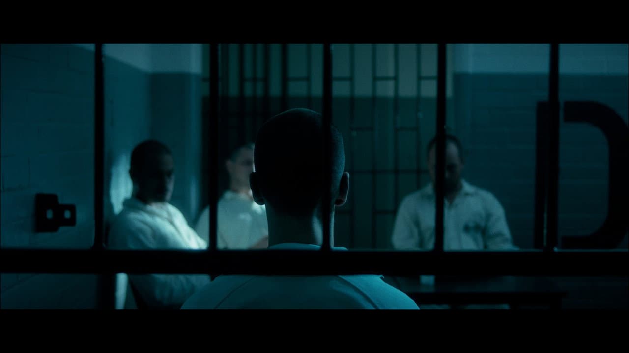 Animus