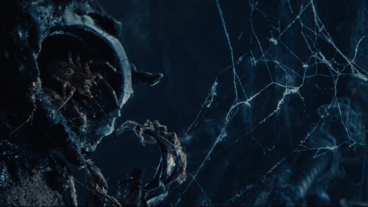 Atom & Void