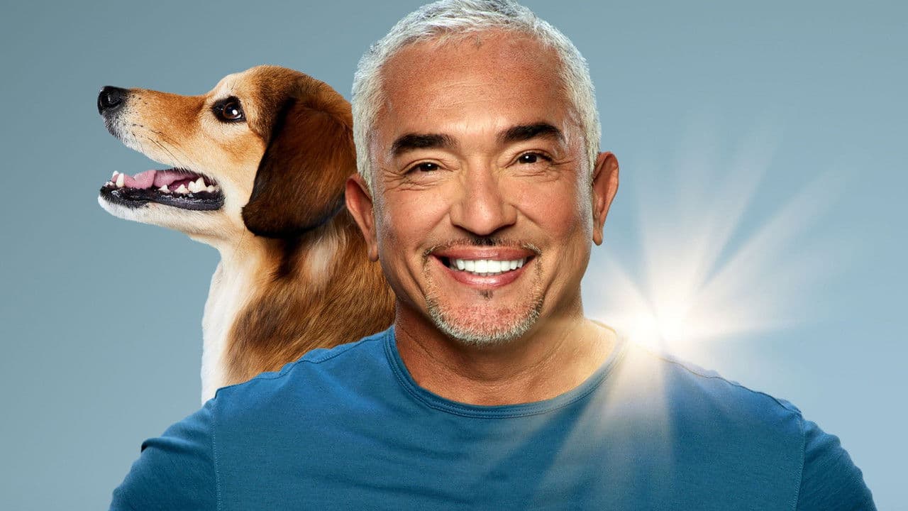 Cesar Millan: Better Human, Better Dog