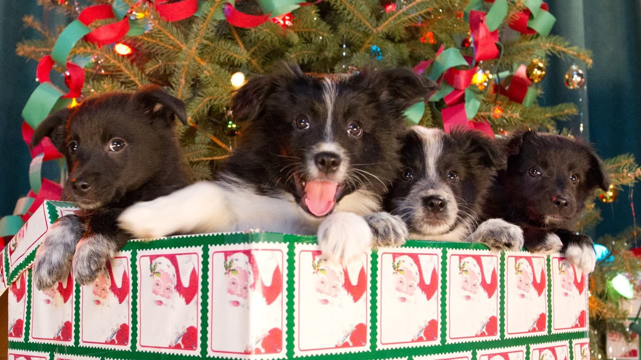 12 Dogs of Christmas: Great Puppy Rescue