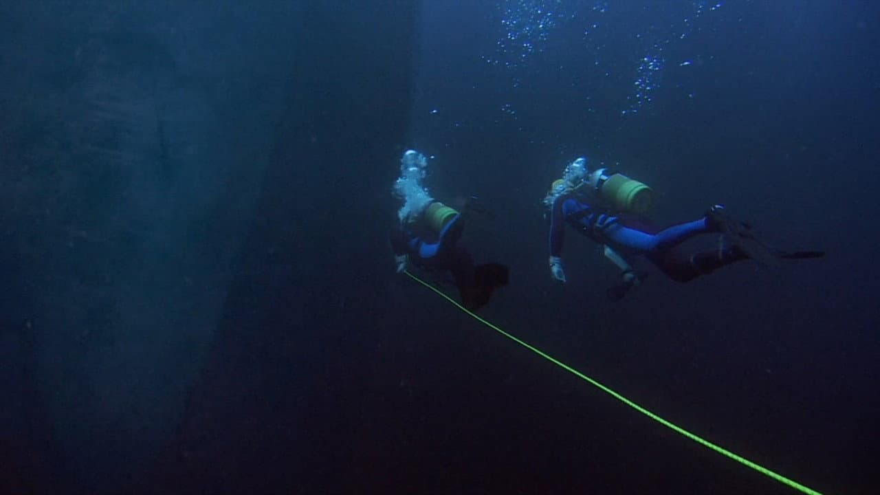 Sea Monkey
