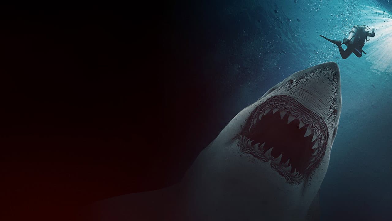 Great White Waters