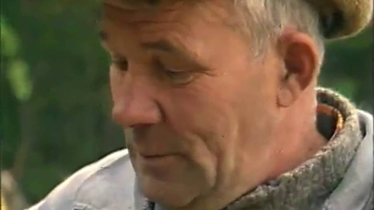 The Arkhangelsk Peasant