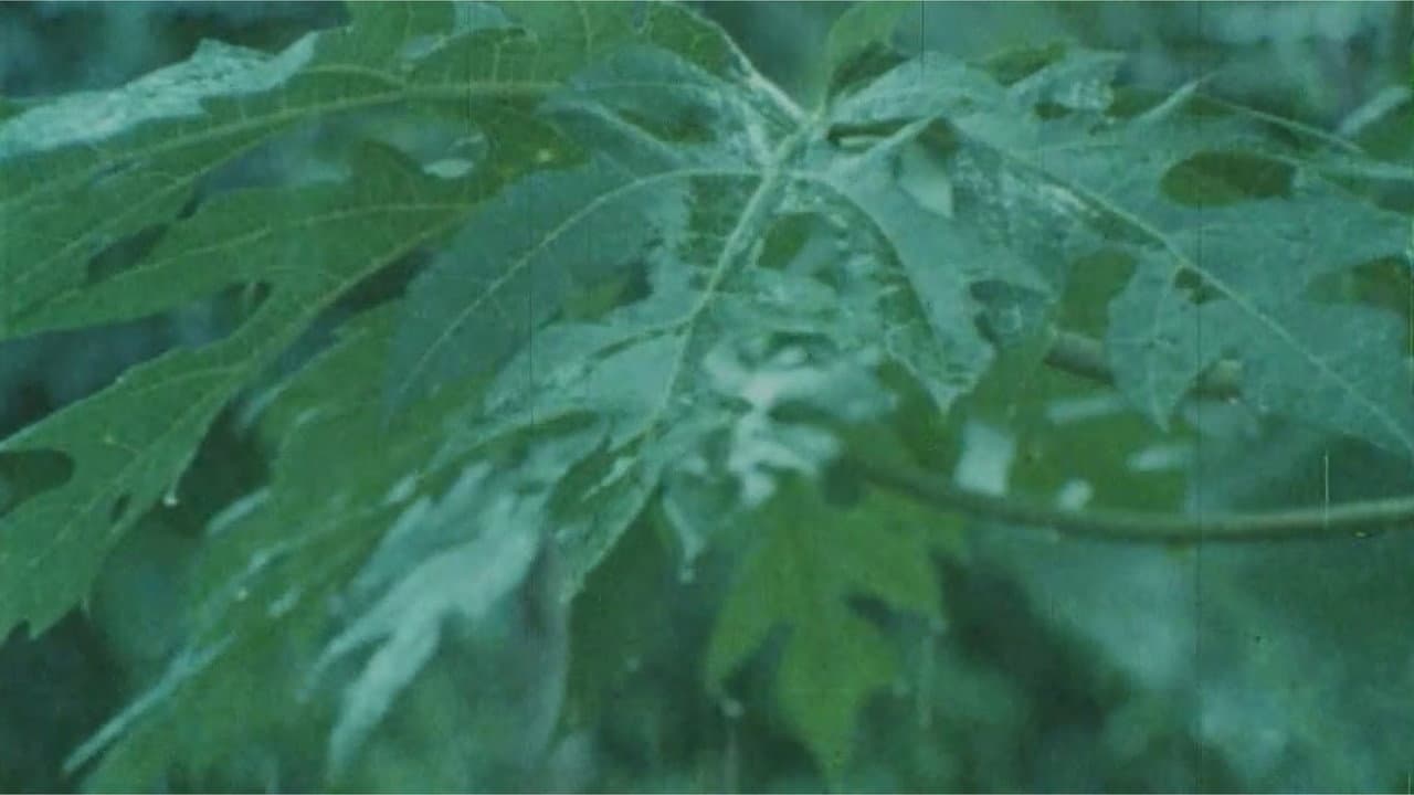 Green Dream