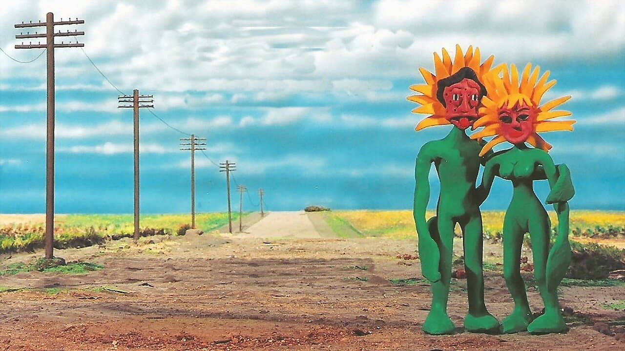 The Sunflowers