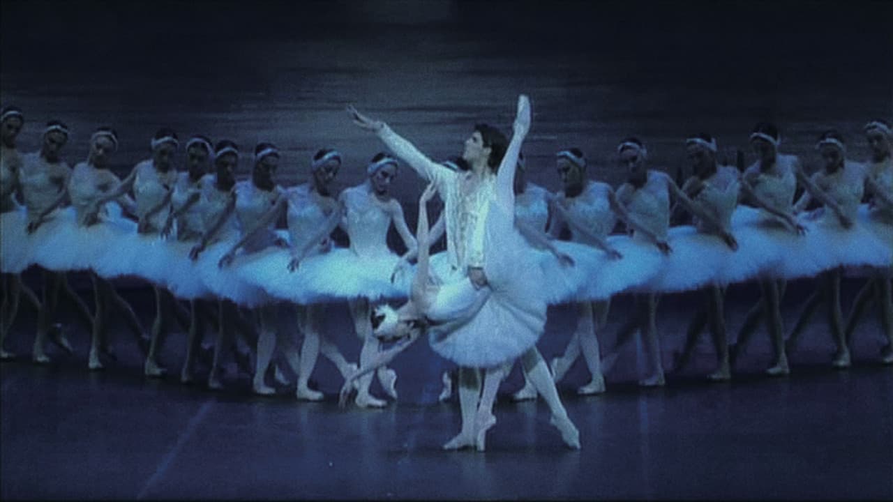 Pyotr Tchaikovsky Ballet 'Swan Lake' 2007 at the Mariinsky Theatre in St Petersburg