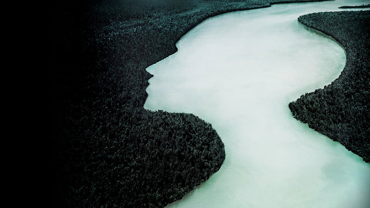The Vanishing Women