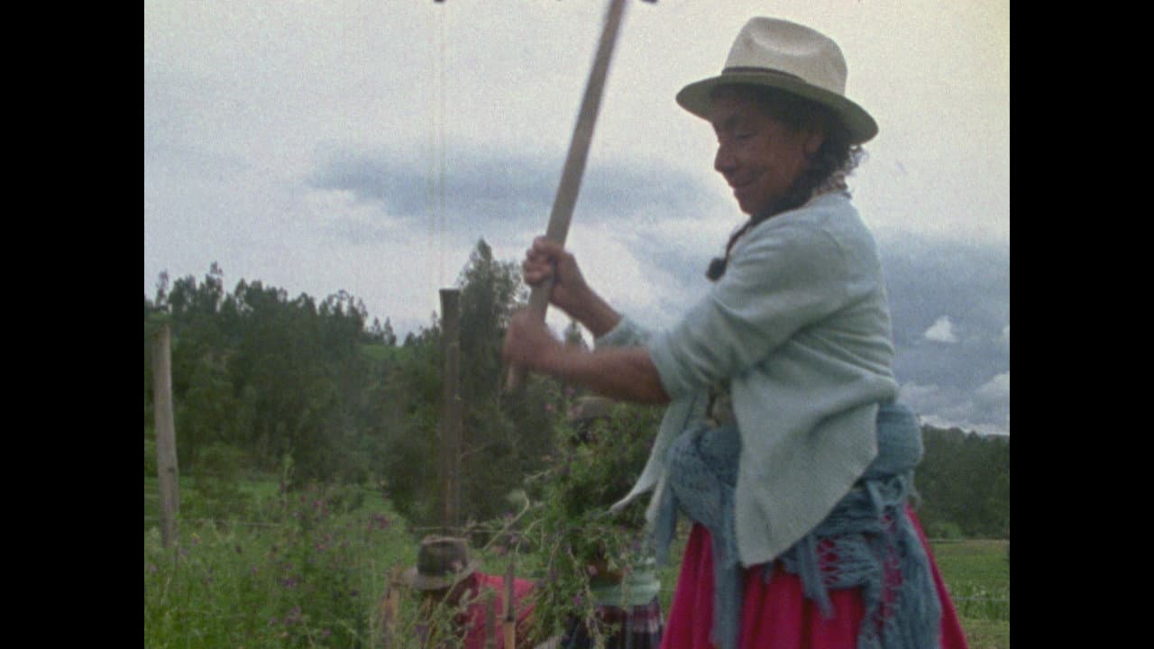 Tiempo de Mujeres