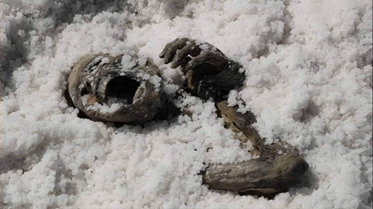 Under the Salt