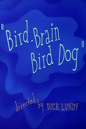 Bird-Brain Bird Dog