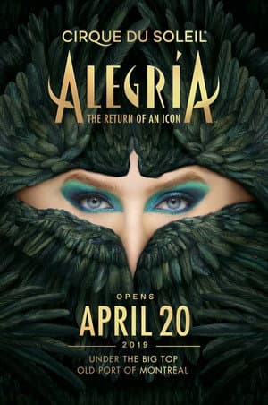 Alegría: In A New Light