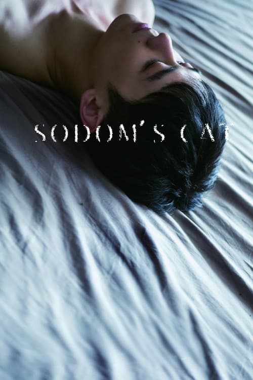 Sodom's Cat