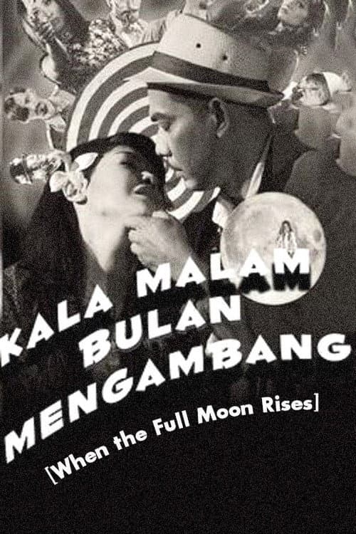 When The Full Moon Rises