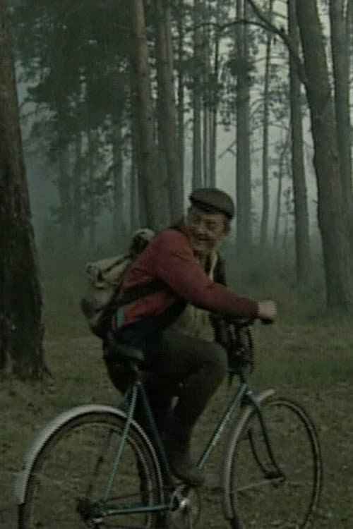 On the Swamps