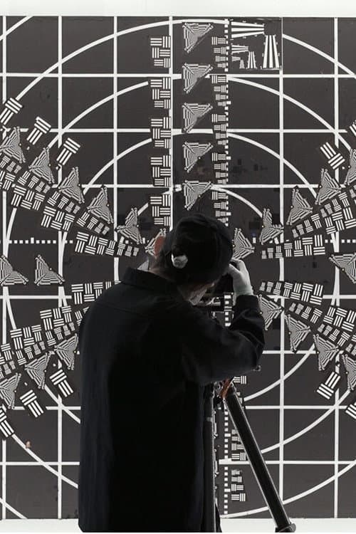 The Vision Machine